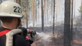 Blixtnedslag orsakade skogsbrand utanför Västervik