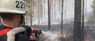 Här brann mest skog i Östergötland förra året
