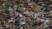 Fossila intressen kan försvaga avtal om plast