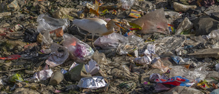 Fossila intressen kan försvaga avtal om plast