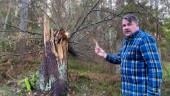 Nytt hopp om ersättning för Västerviks skogsägare