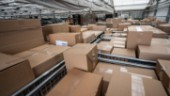 E-handeln dominerar vid julklappsinköp – förväntas öka ännu mer