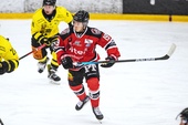 Piteå Hockey förstärker med forward från Leksand: "En bra plan för mig"