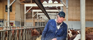 Prisökningar slår hårt emot lantbruket – mjölkbonden Per Ola: "Jag kommer inte kunna ta ut lön" 
