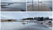 Vattnet steg i Östersjön – då svämmades delar av Lindö över