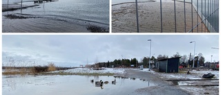 Vattnet steg i Östersjön – då svämmades delar av Lindö över