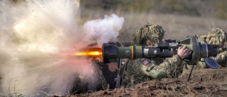 Vad Ukraina behöver är svenska vapen