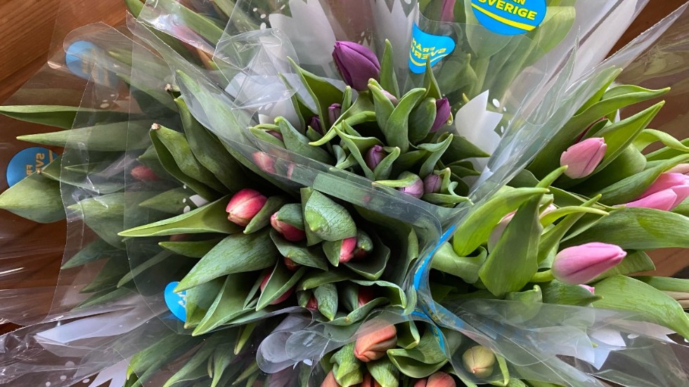 Tulpaner är de första blommorna som säljs i självbetjäningsbutiken. 