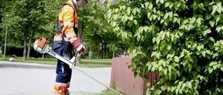 1 100 kämpar om drygt 800 sommarjobb