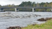 Skogsbolagen nekas utträde ur Byskeälvens fiskevårdsområde 