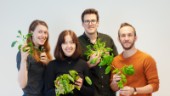 Luleåföretag satsar på odling med hjälp av spillvärme – nominerat till Årets Norrlandsvisionär
