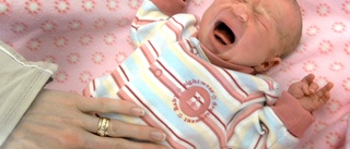 Larm om kikhosta – uppmaningen: "Vaccinera småbarn och gravida"