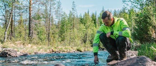 Holmtjärn gav guld i samband med återställning