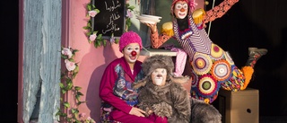 Allvar och clownhumor i "Hunden" – Burträskbördiga Camilla Persson aktuell med clownteater