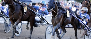 Skelleftehäst tvåa i V75-final på Solvalla: ”Över förväntan”