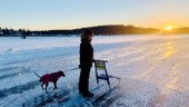 Premiär på isbanan i Piteå i strålande sol