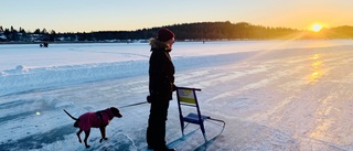 Premiär på isbanan i Piteå i strålande sol
