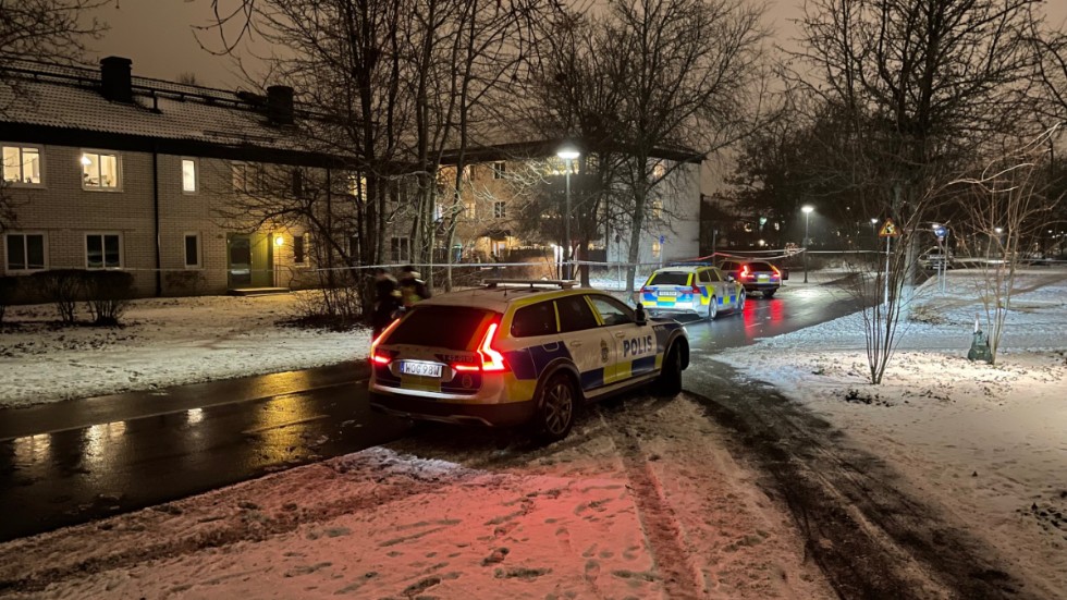 Mordet ska ha inträffat på en gräsyta utanför ett av lägenhetshusen på Storgården i Skäggetorp. Polisen spärrade under kvällen av ett stort område.