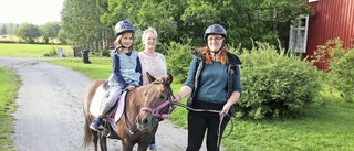 Ponny och täljhäst på byafest i Tuvan