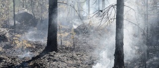 Skogsbrand i Tystberga – bastu började brinna