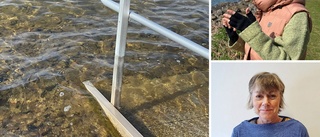 Önskemålet: Ett räcke för att kunna bada i centrala Vadstena · Kommunen: "Man badar på egen risk"