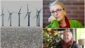 MP-toppens utspel efter intresset för vindkraftverk i Piteå skärgård: "Jag tycker att det är för jävligt"
