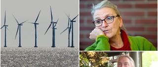 MP-toppens utspel efter intresset för vindkraftverk i Piteå skärgård: "Jag tycker att det är för jävligt"