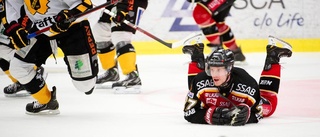 Säsongen över för tidigare Luleå Hockey-duon
