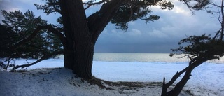  Blåljusutryckning på Fårö i helgen • Relationsbråk på stranden slutade med misshandel