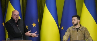 EU-basen i Kiev: Ingen fred utan rättvisa