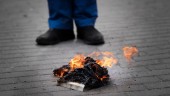 Att bränna Koranen kan inte likställas med mord