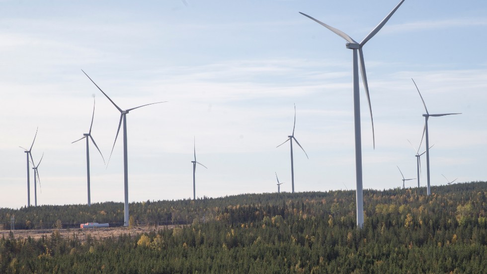 Vindkraftverken har i dag en beräknad effekt på fem megawatt. Regeringens vindkraftsamordnare vill att elen ska förbrukas i närområdet.
