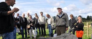 Naturskönt i flygplatsens skugga