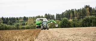 Bönder hoppas på stöd från EU