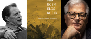  Magnifik biografi om Harry Martinson