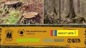 Satsar på motarrangemang – Åt skogen! ska märkas vid EU-mötet