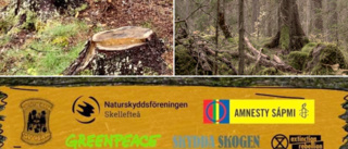 Satsar på motarrangemang – Åt skogen! ska märkas vid EU-mötet