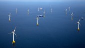 Vi säger ja till havsbaserad vindkraft - men inte utan villkor