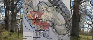 KARTA: Här vill partiet skapa ett stort naturreservat i Västervik