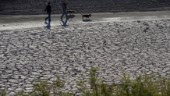 Studie: Hälften av världens stora sjöar krymper