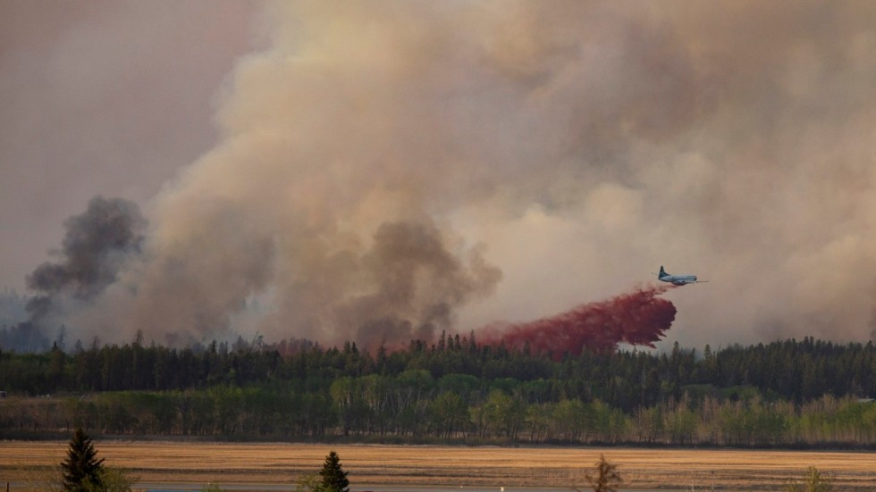 Forskare har identifierat skogsområden i världen som är extra utsatta för klimatförändringar som kan leda till skogsbränder. Bland annat pekas Kanada ut, som bland annat drabbades av skogsbränder i fjol (bilden). Arkivbild