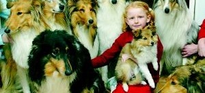Jenny Sundin älskar    alla sina åtta hundar
