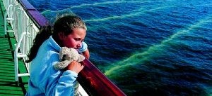 Vem har ansvar för miljön i Östersjön?