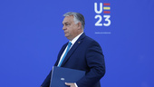 Ungern inte redo rösta om svensk Natoansökan