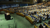 FN antar resolution om eldupphör i Gaza