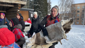 Sámi position in Skellefteå strengthened: a community's triumph