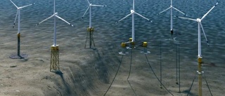 Skellefteå backs offshore wind farms despite risks