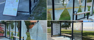 Busskurer vandaliserade i Luleå: "Drygt 50 krossade glas"