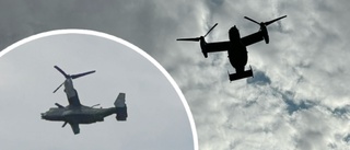 Mysterious black helicopters over Skellefteå spark speculation