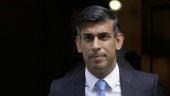 Storbritannien vill stoppa kamphundskorsning